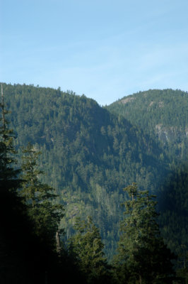 heartshaped hills.jpg