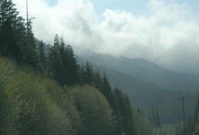 into_the_wild