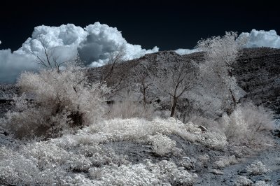 Hills at Gunlock