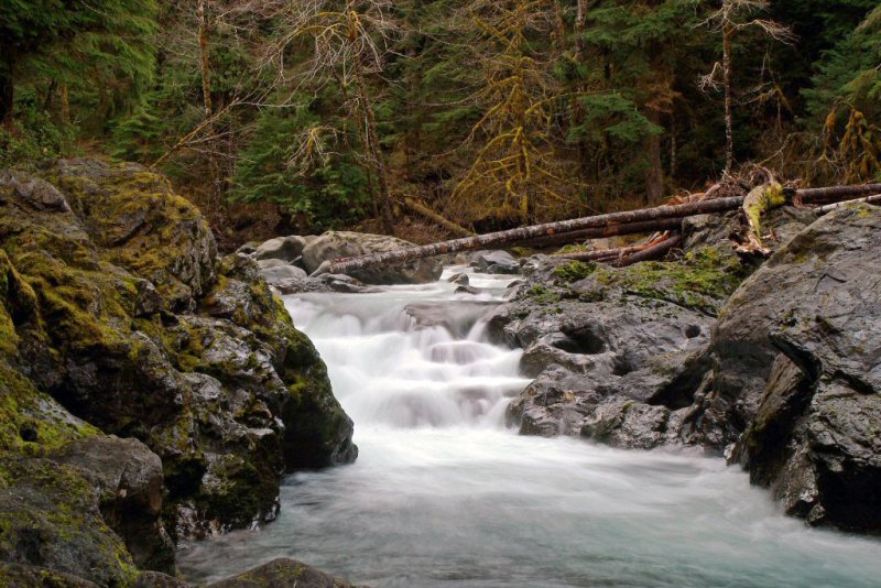 Salmon Rapid on the Sol Duc River