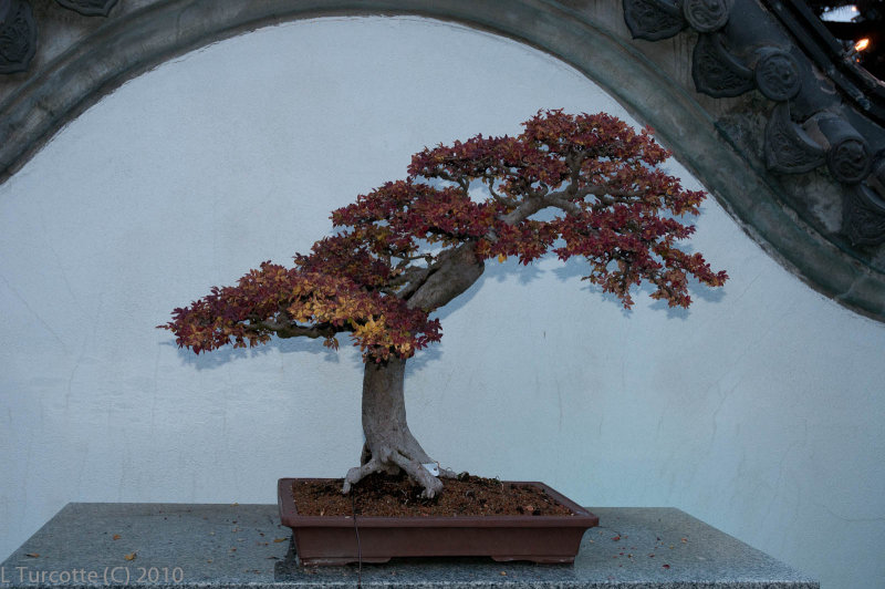 DS0_1555.jpg