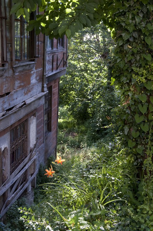 Inebolu june 2009 1813.jpg