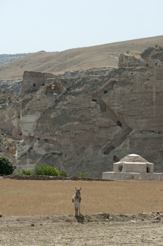 Hasankeyf June 2010 8194.jpg