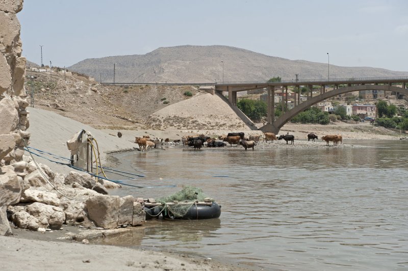 Hasankeyf June 2010 8250.jpg