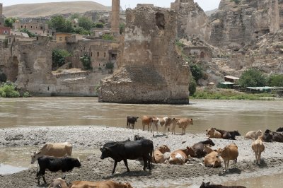 Hasankeyf June 2010 8265.jpg