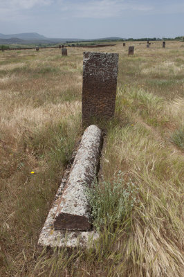 Ahlat June 2010 8608.jpg