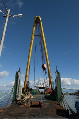 Yumurtalik 2010 1877.jpg