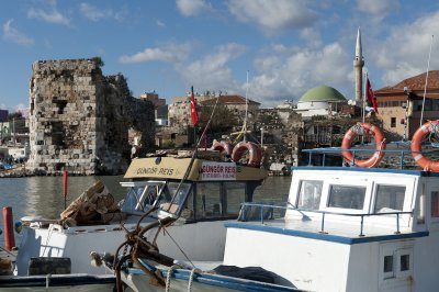 Yumurtalik 2010 1879.jpg