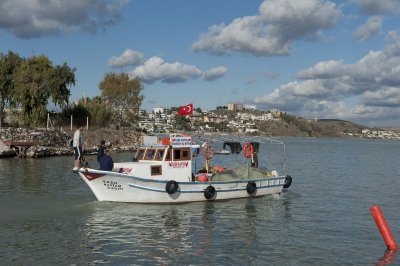 Yumurtalik 2010 1880.jpg