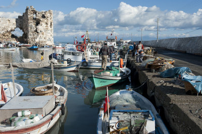 Yumurtalik 2010 1890.jpg