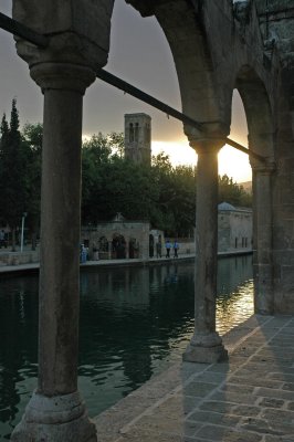 Şanlıurfa at ponds 3732