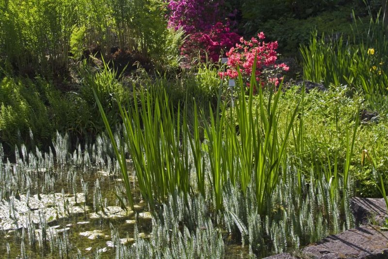 Botanical garden Tuebingen