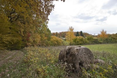 Ettlingen Spessart