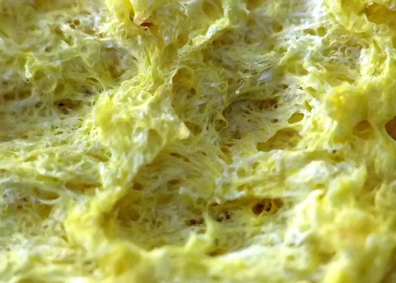 Sponge Side of a Scrubbing Sponge
