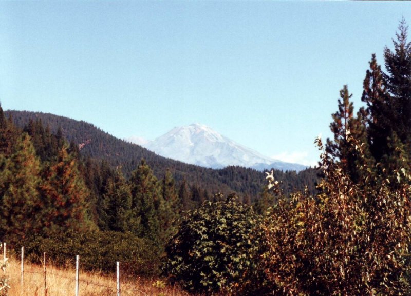 Mt. Shasta, 14,179