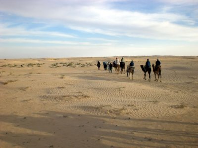 An Uninspiring Camel Ride in the Sahara