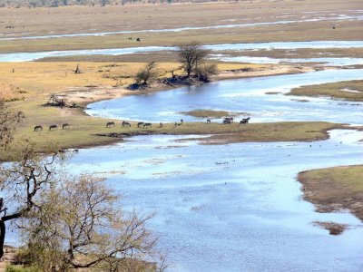 The Chobe Flood Plain