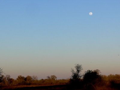 Full Moon in the Delta