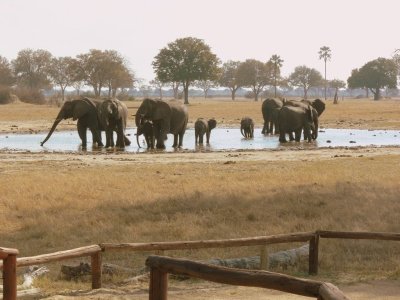 As You Can See, These Guys are Right Outside Our Lodge