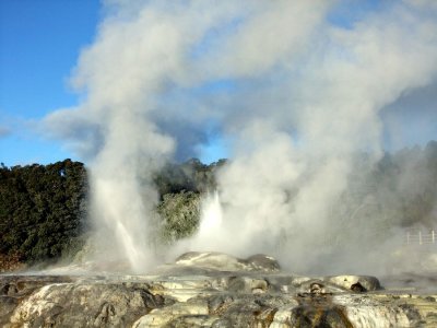 The Boiling Water Spouts at Rotorua