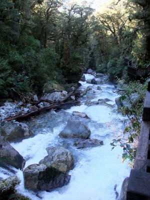 A Stream on a Short Hike Before Reaching Milford Sound