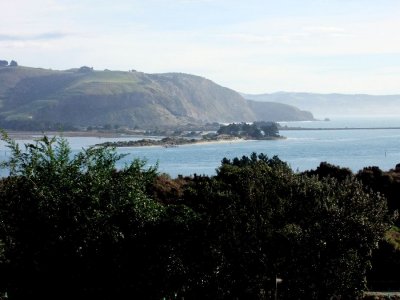Views From Larnach Castle