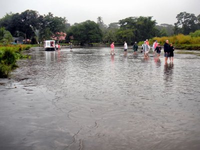  Abandoning Ship in Tortuguero