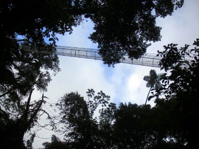 The Hanging Bridges At Arenal