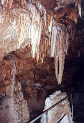 Shasta Caverns