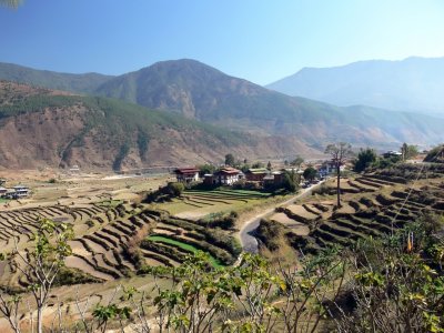 Agricultural Bhutan