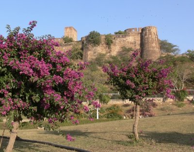 and the Fort on the Nearby Hill