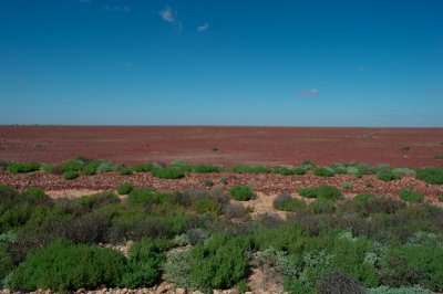 Stony Desert.jpg