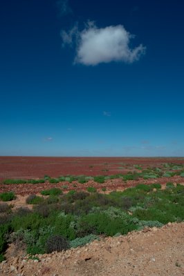 Stony desert 3.jpg