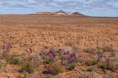 Painted Desert8.jpg