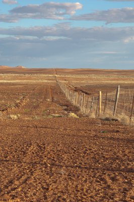 Dog Fence.jpg