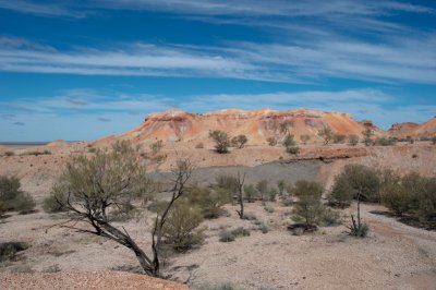 Painted Desert 3.jpg