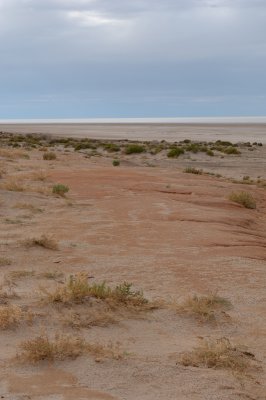 On the bank of Lake Eyre.jpg