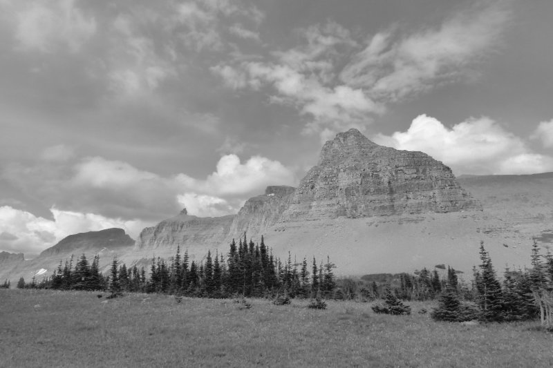 D4.9 HD-BW Glacier