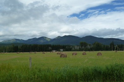 D1.19-Countryside