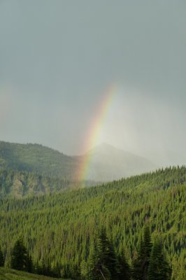 D2.12-Rainbow