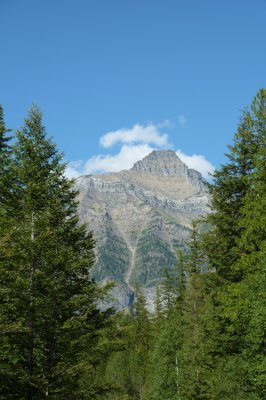 D3 (49).JPG