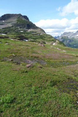 D4- (21).JPG