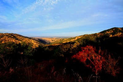 Looking towards Winters, CA