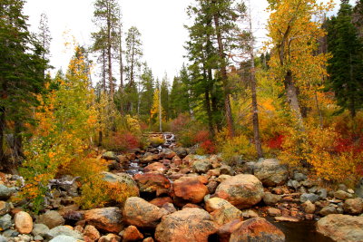 Downieville, Ca.