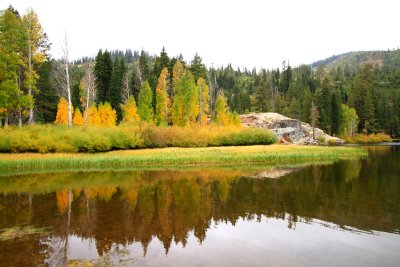 Downieville, Ca.