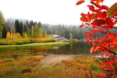 Downieville, Ca.