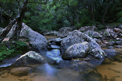 La Pajcha stream.  Morning after our first night of camping.