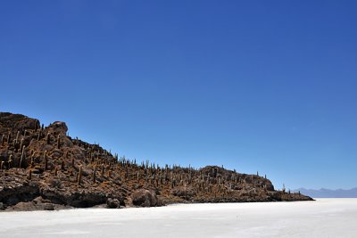 Fish Island on the Salar de Uyuni