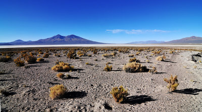 In the desert south of the Salar de Uyuni