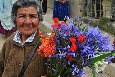 Quiabaya Flowers